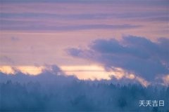 龙血树放卫生间好不好？利弊分析助您决策