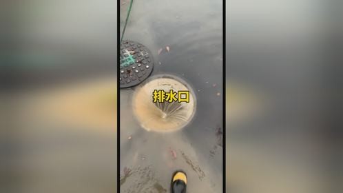 公共沙井不能当排水口使用吗？
