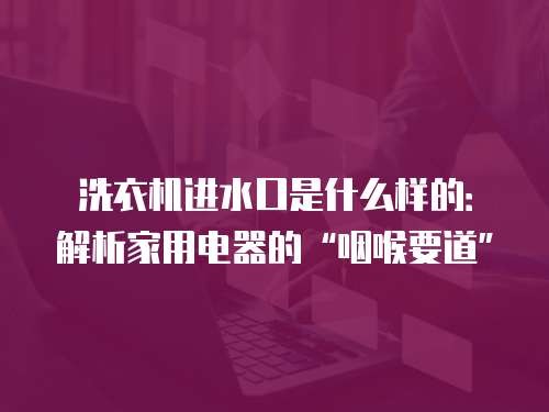 洗衣机进水口是什么样的：解析家用电器的“咽喉要道”