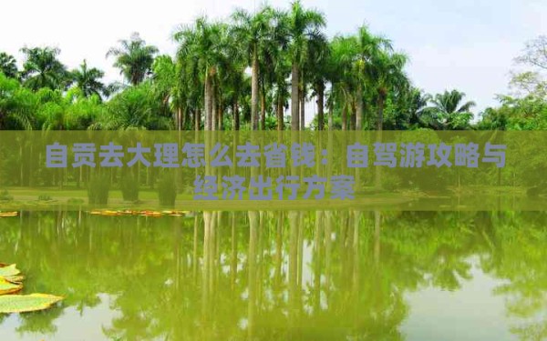 自贡去大理怎么去省钱：自驾游攻略与经济出行方案
