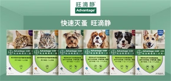 选择可立奥，为宠物健康驱虫