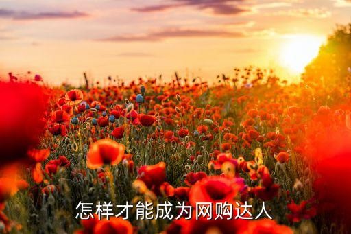 怎样才能成为网购达人