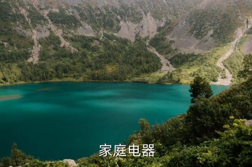  家庭电器