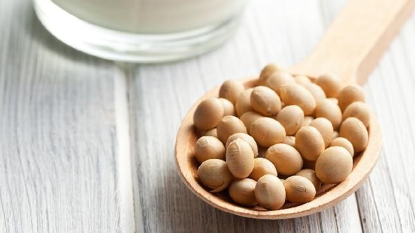 尿酸高可以吃黄豆吗