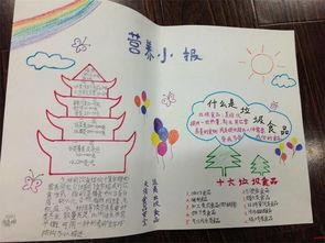 关于食品营养物质的手抄报 营养手抄报