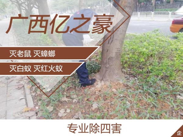 南宁宾阳家庭消毒公司