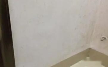 卫生间隔壁房间墙发霉怎么办