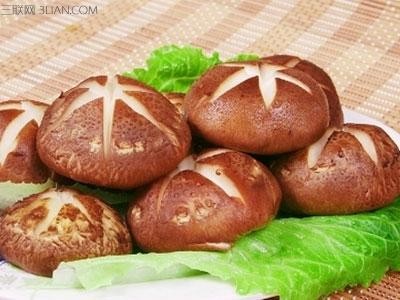 老人饮食有哪些讲究 饮食应该注意八分饱