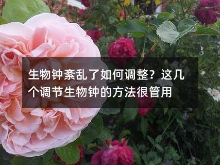 生物钟紊乱了如何调整?这几个调节生物钟的方法很管用