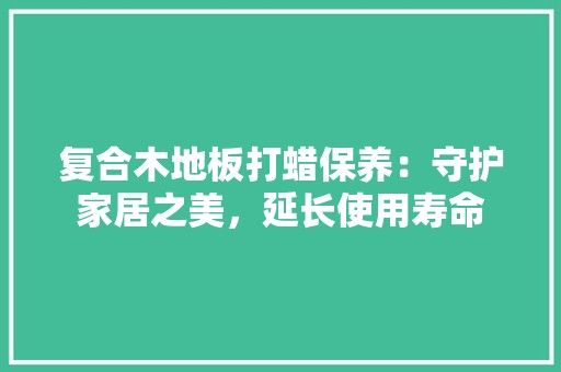 复合木地板打蜡保养：守护家居之美，延长使用寿命 现代风格装饰