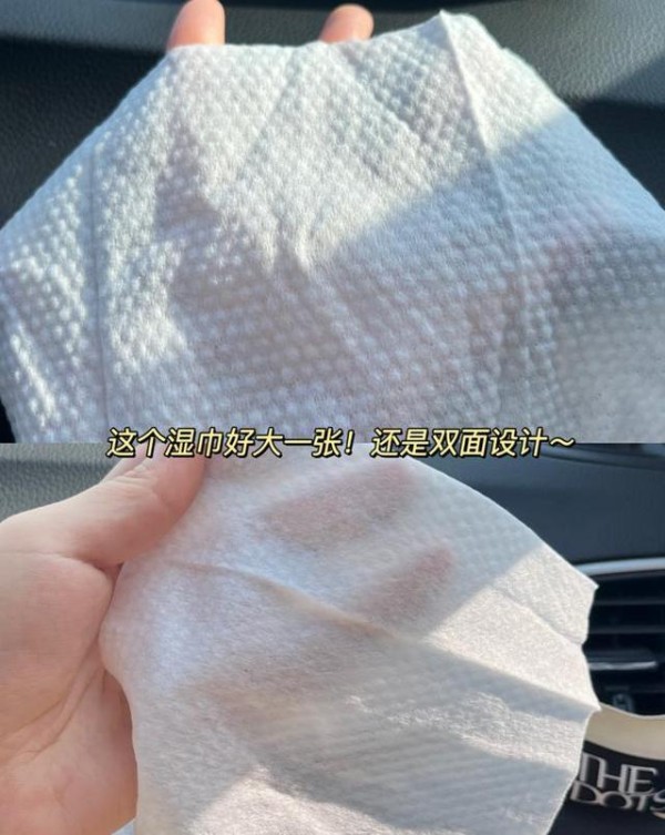 怎样清除车内污秽物-有驾