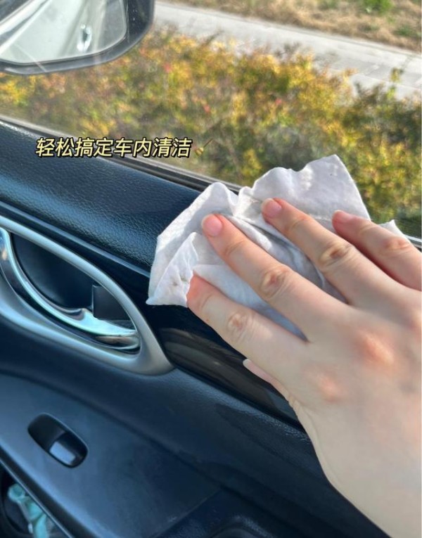 怎样清除车内污秽物-有驾