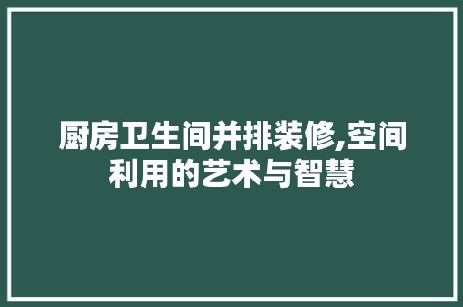 厨房卫生间并排装修,空间利用的艺术与智慧 厨房