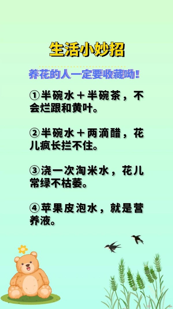 有女生活版本大全女生必备生活小窍门合集