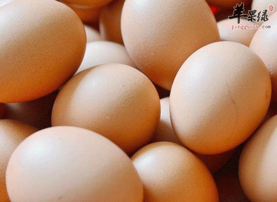高蛋白低脂肪食物有营养更健康