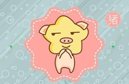 今日运势：属猪人今日运势查询财运（属猪人今日运势运程每月运程）