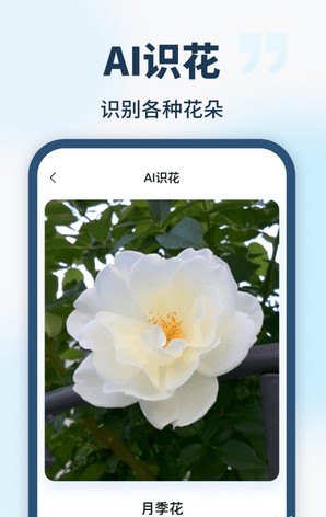 AI智能助手APP2