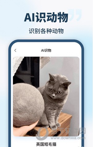 AI智能助手