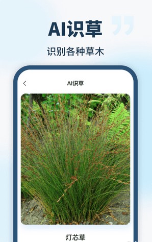 AI智能助手APP1