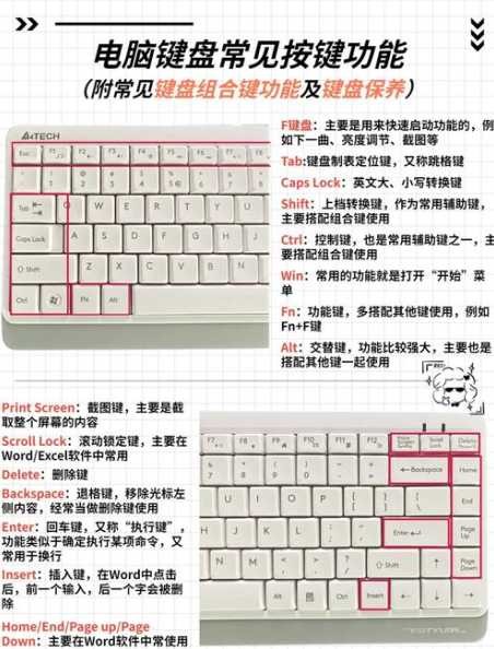 Win11清洁键盘时如何关闭？清洁后怎么恢复键盘功能？ 第1张