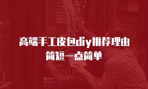 高端手工皮包diy推荐理由简短一点简单