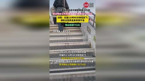 情侣赶国际航班途中被困电梯28分钟，起诉物业公司和维保单位 索赔9875.32元，法院：仅留1小时40分钟至起飞，误机主因系自身安排不当，物业赔偿750元