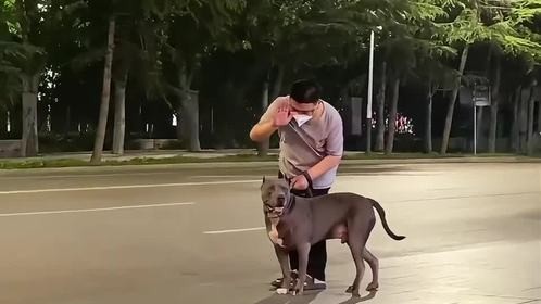 笨蛋小狗的搞笑日常 风青杨V 
