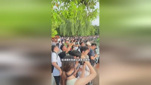 今年暑假最堵人的十个景点 风青杨V 