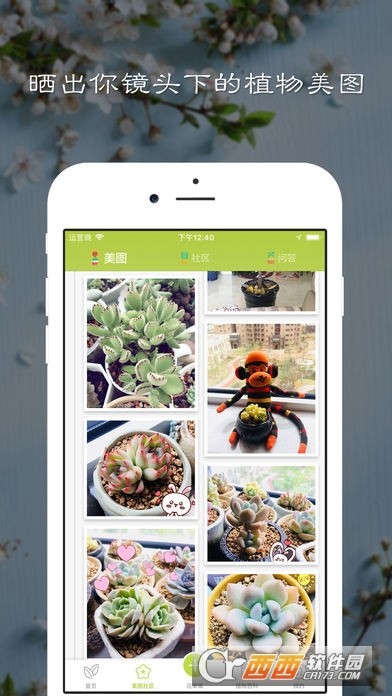 花草集app