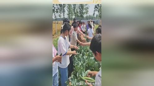 看着孩子们脸上的笑容 真是太可爱了
