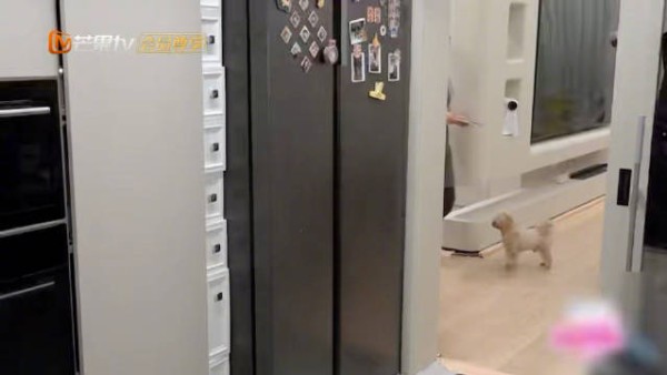 《我家那闺女》展现母女代际互助,张予曦孙怡管乐拉宏桑家庭温暖互动