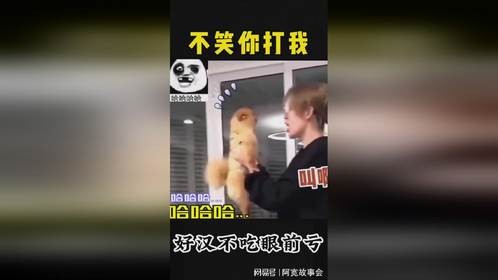 狗：我心里明白，只有在妈怀里才安全