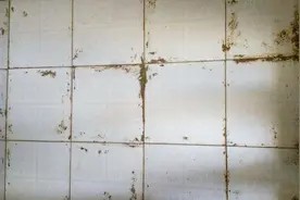 快速去除瓷砖上的水泥,就是这么简单,太省事了!视频封面