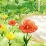 鸽仔体育