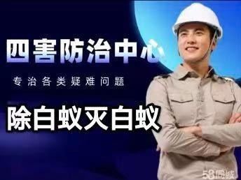 聚鑫服务·除白蚁灭白蚁白蚁防治白蚂蚁除蚂蚁灭鼠除蟑螂除四害除跳蚤消杀灭臭虫灭蚊子