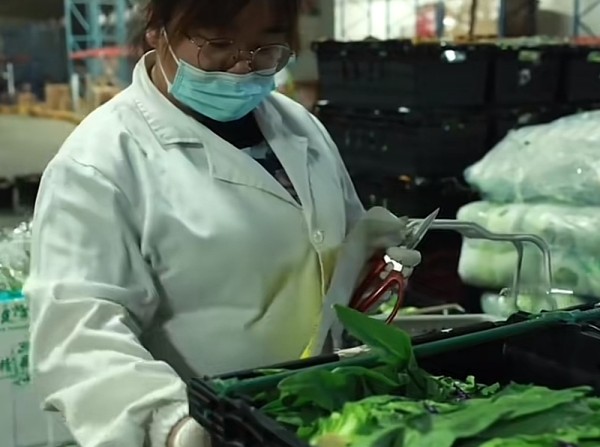 智慧厨房管理系统
