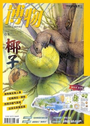 博物（1年共12期）（杂志订阅）