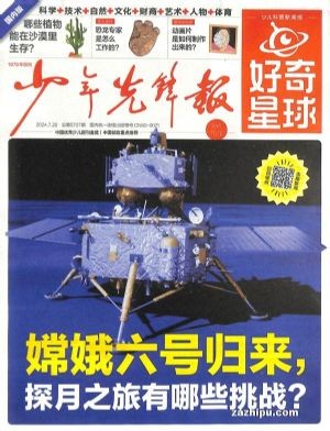 【包邮】少年先锋报