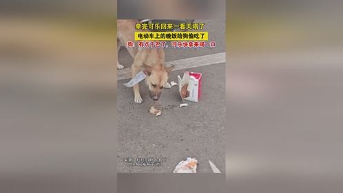 拿完可乐回来一看天塌了，晚饭给狗偷吃了