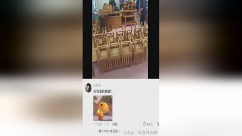当蜥蜴来到学校