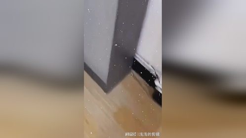 “这是啥颜色 抽象 ”