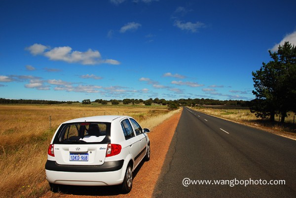 澳洲自驾经验谈 —— How to Drive Safe in Australia - Bob - 清韵