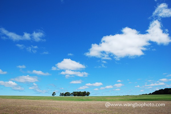 澳洲自驾经验谈 —— How to Drive Safe in Australia - Bob - 清韵