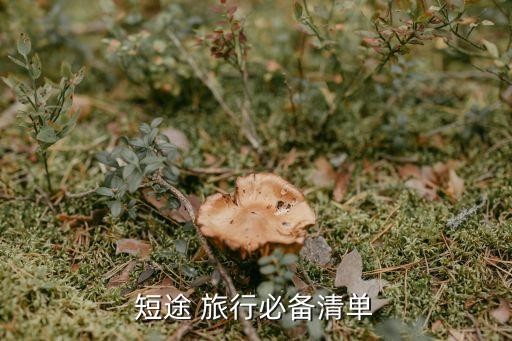 短途 旅行必备清单