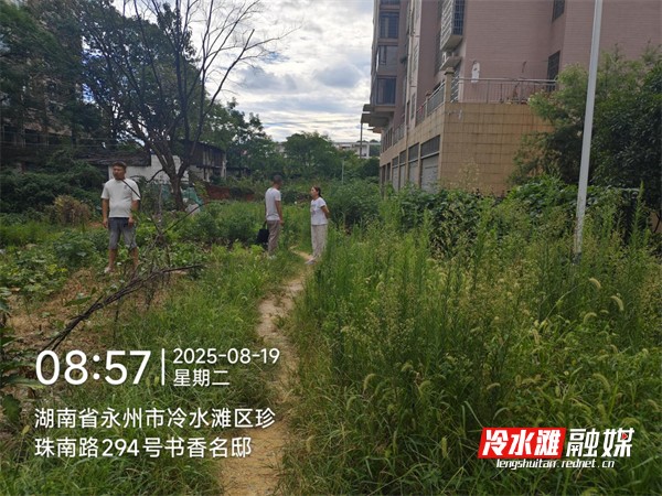 图片吧1.png