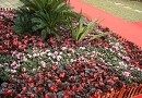 八桂绿城