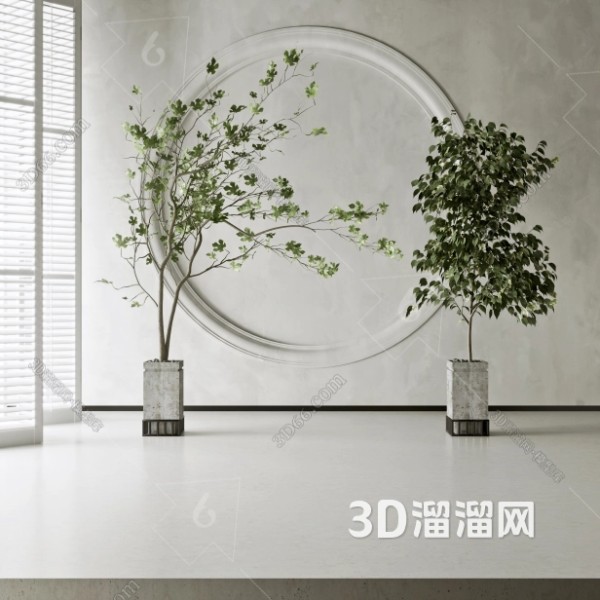 打造文艺家居的绿植摆件