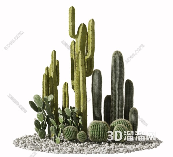 打造文艺家居的绿植摆件