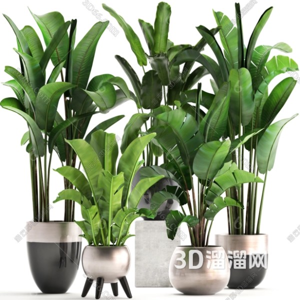 打造文艺家居的绿植摆件