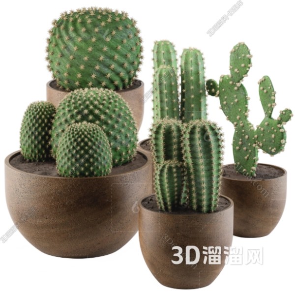 打造文艺家居的绿植摆件